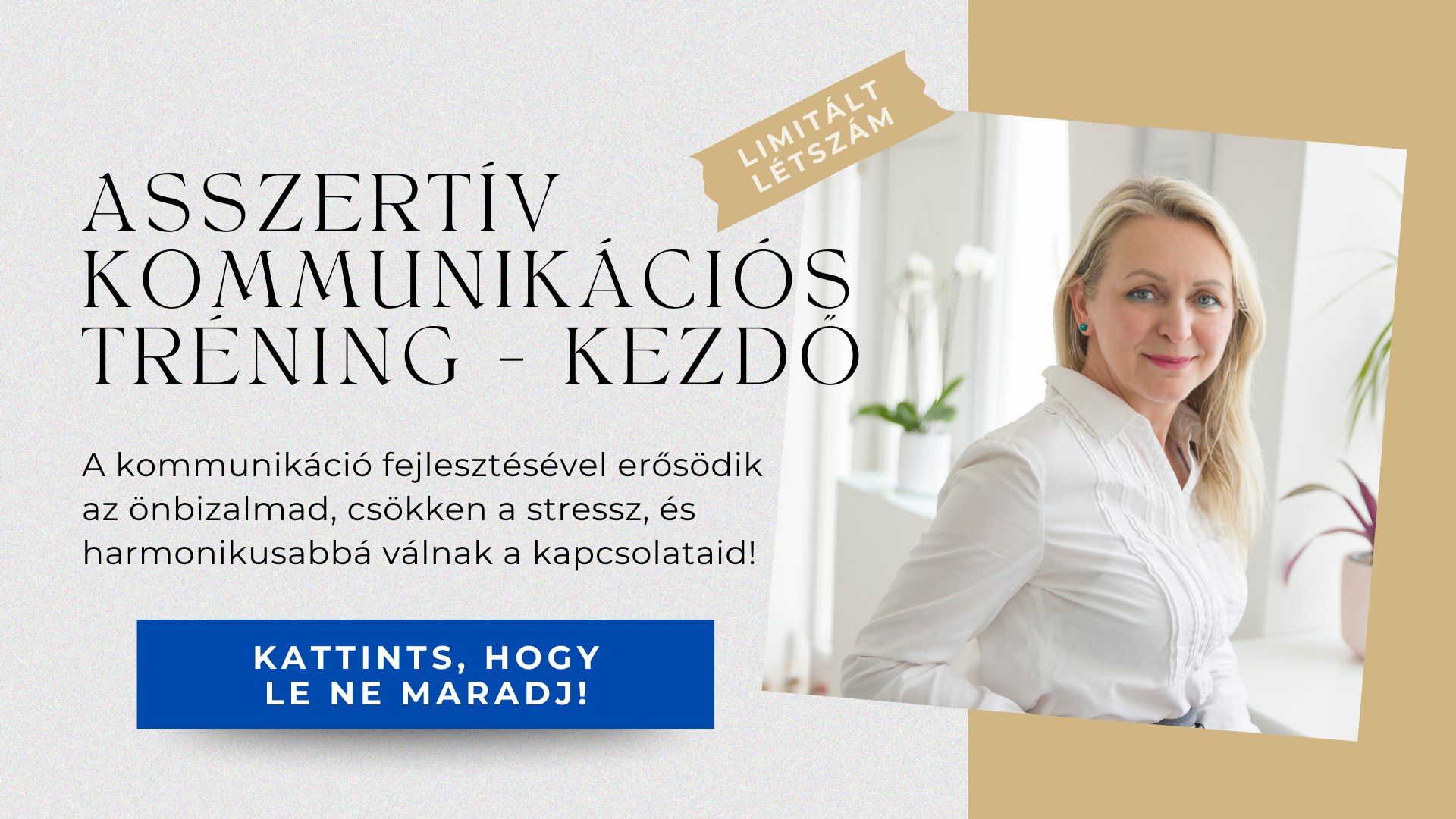 Névtelen terv